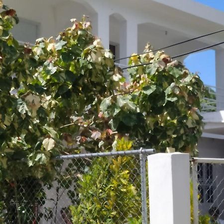 Apartamentos Vero Las Terrenas Ngoại thất bức ảnh